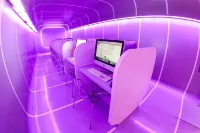 Bull Dorado Beach & Spa Hotels near The Windmill