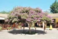 Club Del Sole La Risacca Family Collection Hotel in zona Centro Commerciale Le Ancore