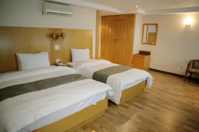 Daegu Union Tourist Hotel Hotels in Teagu