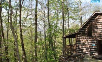 StayNantahala - Smoky Mountain Cabins