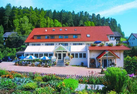 Hotel am Hirschpark Отели в г. Шёнмюнцах