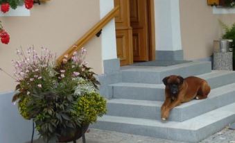Farm Stay Rotovnik - Plesnik