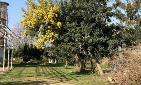 Decri Resort - Housity
