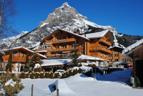 Chalet Hotel Adler AG Hotel di Kandersteg