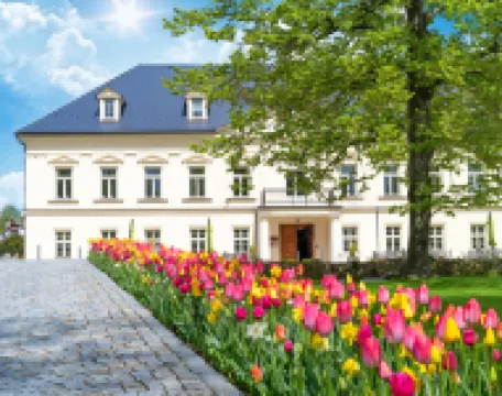 佩特洛維斯宅邸酒店 酒店