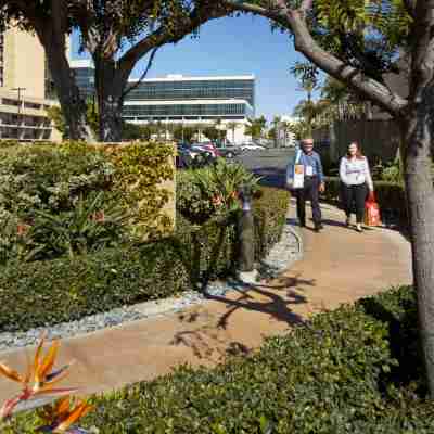 Courtyard by Marriott Anaheim Resort/Convention Center Hotel Exterior