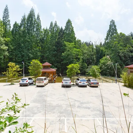 Forest Hot Spring Hotel