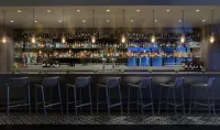 明尼阿波利斯市區皇家索尼斯塔酒店 - 酒吧