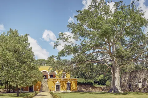 HACIENDA UAYAMON