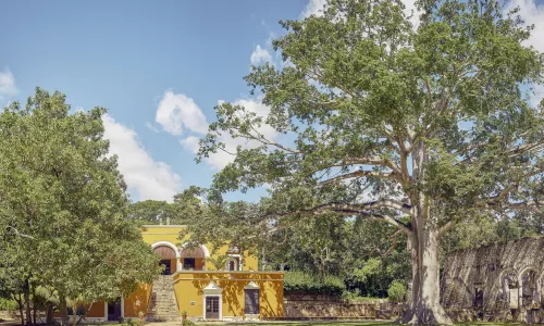 HACIENDA UAYAMON
