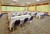 Holiday Inn Mayaguez & Tropical Casino Hotels in Caguabo