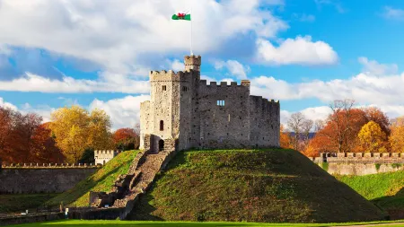 Park Plaza Cardiff Отели рядом с достопримечательностью «Андерсон Филдс»