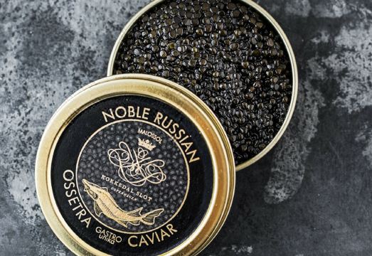 코크에달 슬롯 코펜하겐 수영장