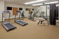 Candlewood Suites 休斯頓（該伍德蘭斯） - 健身室/gym room