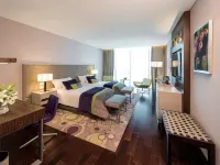 Mercure Santa Rosa la Pampa Hotel a 