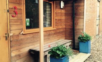 Rooms at No Three - Chameleon House - Housity