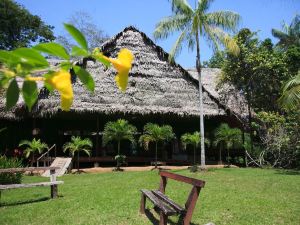 Amazonas Sinchicuy Lodge