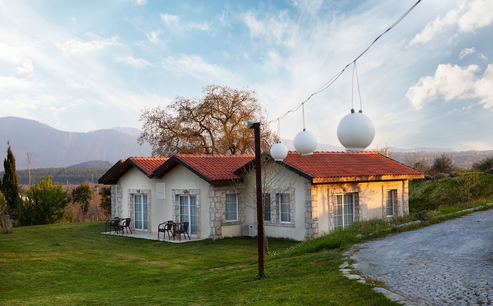 Vinifera Hotel Yedi Bilgeler Vineyards