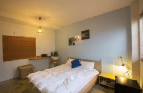 台南兩米巷-青年館