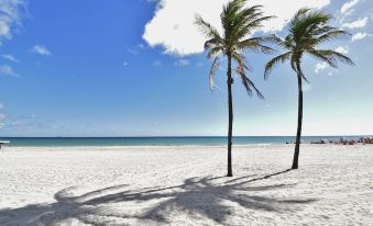 Deluxe Designer Loft in Hollywood Beach Unit 1