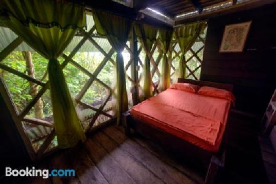 Family Room With Private Bathroom Ayahuasca Photo