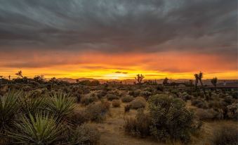 Joshua Tree Luxury Dream Modern 5 Bedroom!