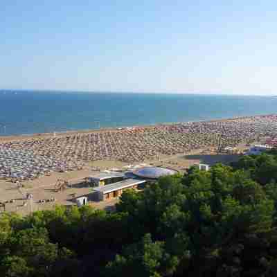 International Beach Hotel Hotel Exterior