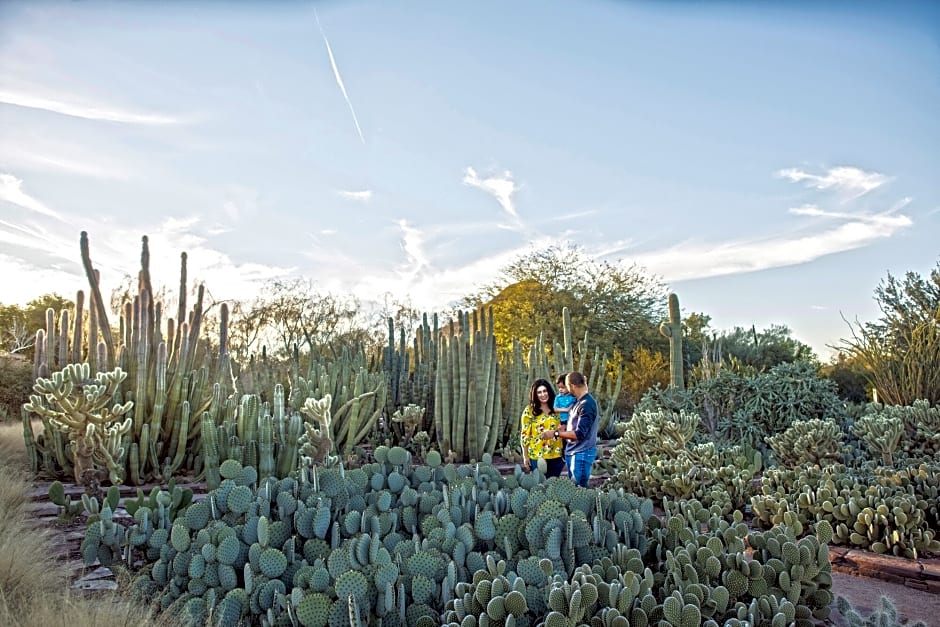 Holiday Inn Express & Suites Phoenix - Airport North, an Ihg Hotel