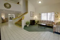 Americas Best Value Inn-Addison-Dallas Hotels in Carrollton