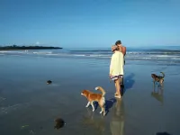 Tammoyo Place - Bãi đậu xe