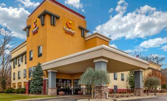 Comfort Suites South