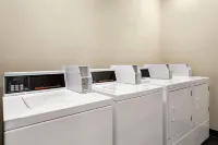 Home2 Suites by Hilton Ridley Park Philadelphia Airport South - acceptant les animaux