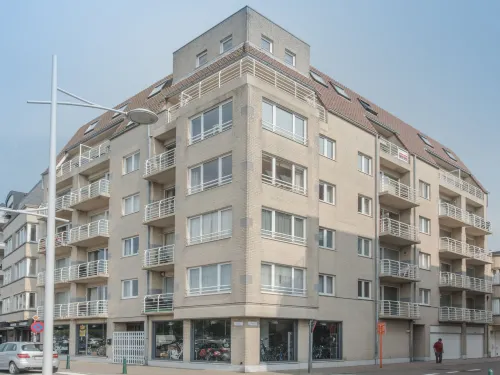 Duplex