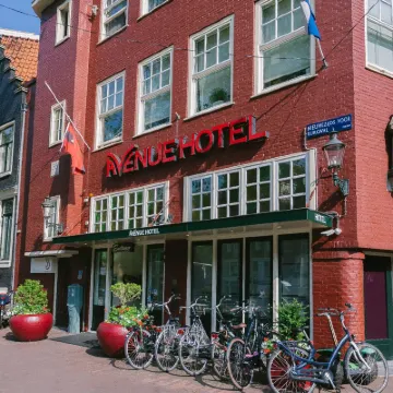 Avenue Hotel Hotels near Body Worlds