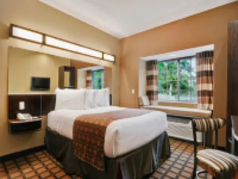 Microtel Inn & Suites by Wyndham Buda Austin South Hotels in Buda