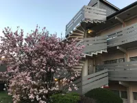 Hotel Campanile Nature - Cergy Pontoise