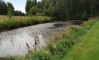 a serene river flowing through a grassy area , with trees and bushes in the background at Vadstena