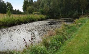 a small pond surrounded by grass and trees , with a house in the background on a grassy hill at Vadstena