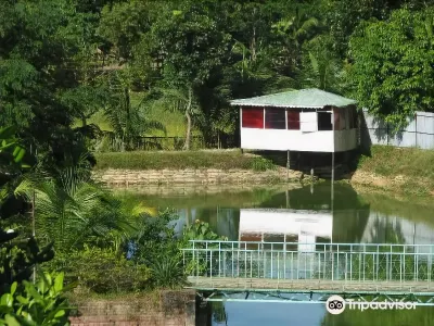 Excelsior Sylhet Hotel & Resort Hotels in 