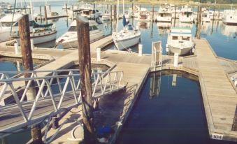 a dock with multiple boats docked in a body of water , creating a picturesque scene at Lopez Islander Resort