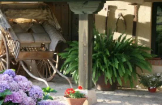 ปาราเจะ เดล อัสเทอร์คอน อดัลท์ส์ โอนลี่ โรงแรมใน