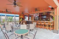 奧蘭多布埃納維斯塔湖假日酒店度假村 - 酒吧