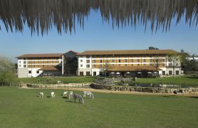 Chessington Safari Hotel