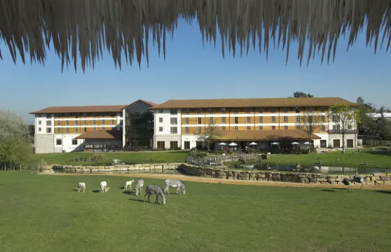 切辛頓野生動物園觀賞旅行酒店