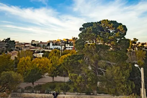 Villa Pomme d'Or