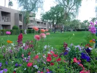 Shadow Mountain Resort & Club - Baarit