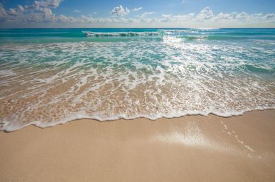 プライベートビーチ JWマリオット・カンクン・リゾート＆スパの写真