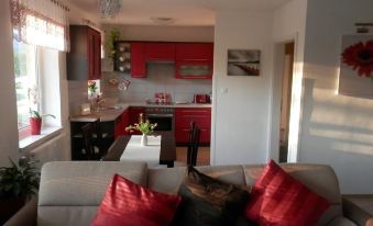 Apartment Boroví