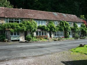 The Bark House