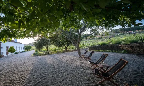 MORGADIO DA CALÇADA